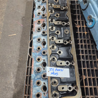 ZZ80071 HEAD  6354.4 NATURALTW 33236 BUILD