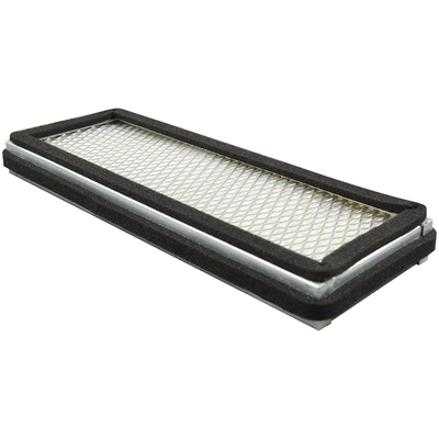 PA5650 - Baldwin Air Filter